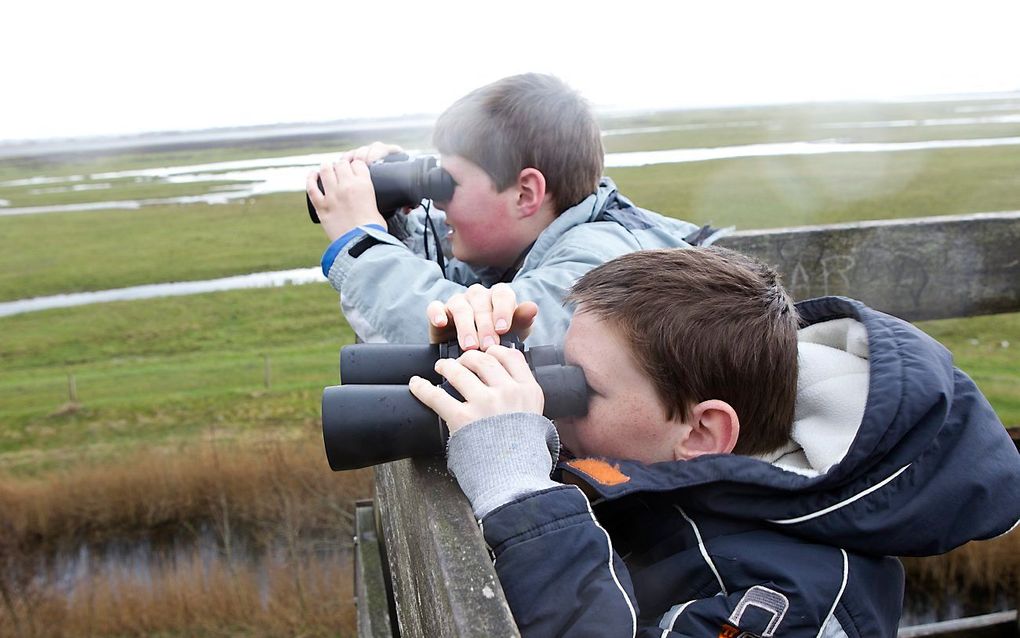 Cors (achter) en Wout (voor) op zoek naar de zeearend bij het Lauwersmeer. Foto RD, Anton Dommerholt