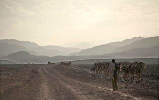 Het ruige grensgebied van Ethiopië en Eritrea. Foto EPA