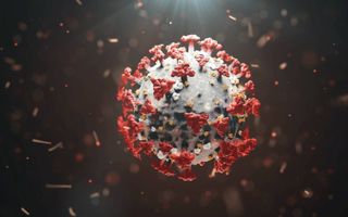 Zogenaamde T-cellen, die onderdeel uitmaken van het aangeleerde immuunsysteem, kunnen het nieuwe coronavirus (zie beeld) herkennen, vermoedelijk door eerdere blootstelling aan seizoenscoronavirussen. beeld iStock