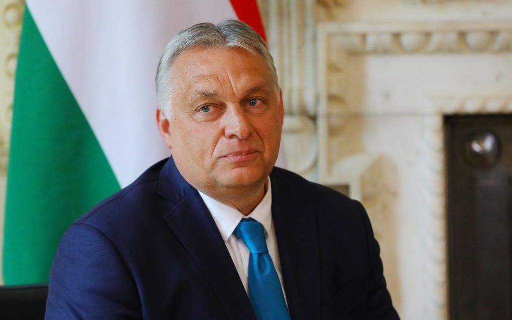 De Hongaarse premier Viktor Orbán. beeld EPA, Vickie Flores