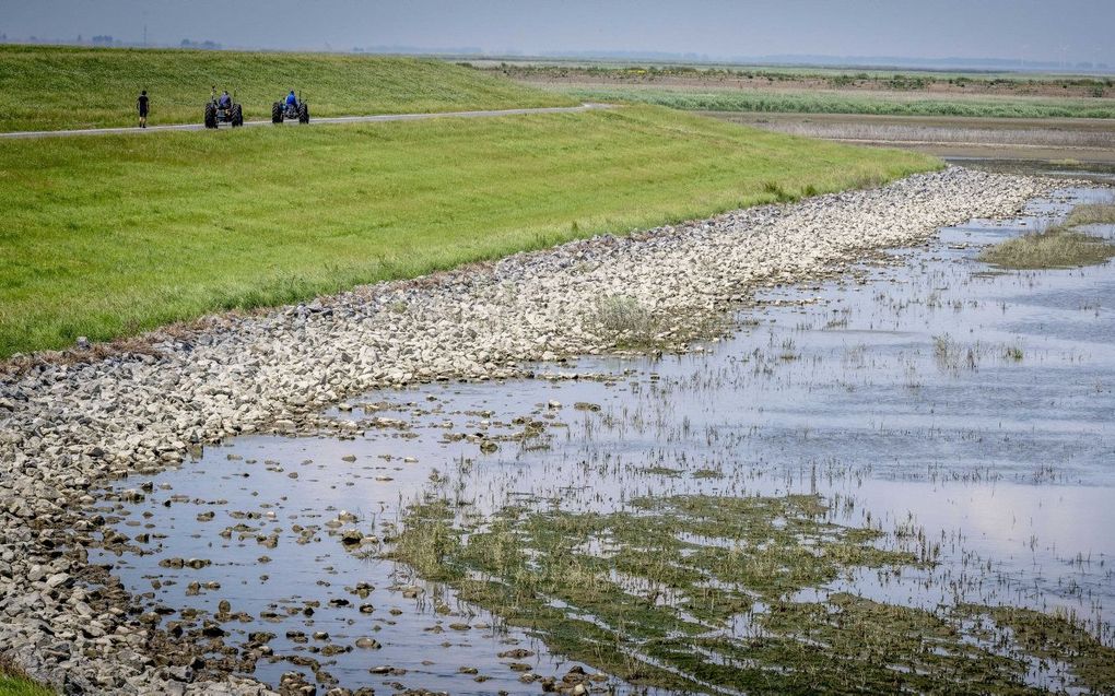 De Hedwigepolder. beeld ANP, Robin Utrecht