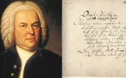 Van Bach tot Louis Andriessen (r.). beeld Orgelpark