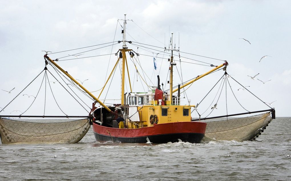 Garnalenkotter. beeld ANP, Lex van Lieshout