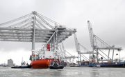Vijf enorme kadekranen komen aan bij de Amazonehaven van Rotterdam. De nieuwe kranen komen uit Shanghai en zijn 135 meter hoog, hebben een reikwijdte van 24 containers breed en een hijshoogte van 50 meter. In de Rotterdamse haven valt van de crisis nog we