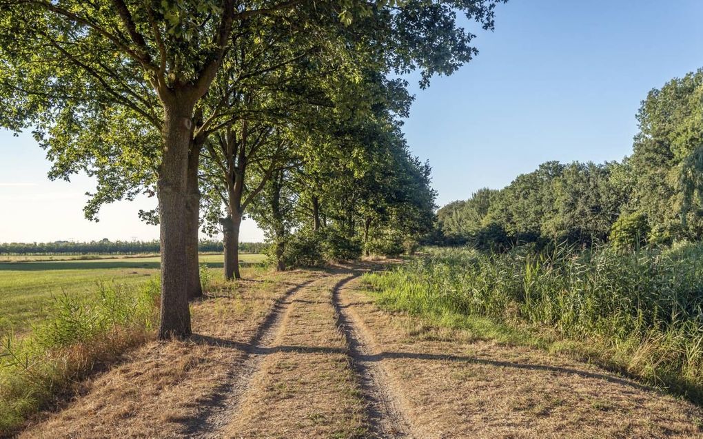 In de opvoeding kunnen stilletjes diepe karrensporen ontstaan. Gewoonten die je ei-genlijk liever niet hebt, maar die toch zijn binnengeslopen. Zo’n karrenspoor hardt uit en is maar moeilijk te verlaten. beeld iStock