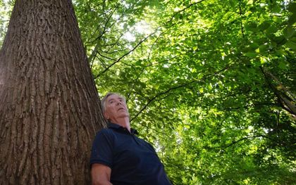 Ton Cornelisse en ‘zijn’ Utrechtse Markiezeneik die genomineerd is voor de verkiezing Boom van het Jaar 2022. beeld William Hoogteyling