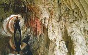 Stalagmieten en stalactieten ontstaan ook in het riool van het oude deel van de Canadese stad Montreal. beeld Uit ”Catastrophic caves”