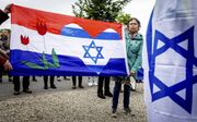 Pro-Israëldemonstratie in Den Haag. beeld ANP, Sem van der Wal