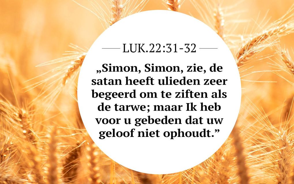 Meditatie | Lukas 22:31-32 | De Voorbidder en de vijand