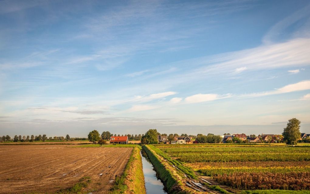 Akkers in het polderlandschap bij het Zeeuwse dorp Oud-Vossemeer, gemeente Tholen. Een deel van het gewas is al geoogst en de grond wacht op de volgende teelten. beeld Ruud Morijn