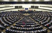 Het Europees Parlement in Straatsburg. beeld  EPA, Ronald Wittek