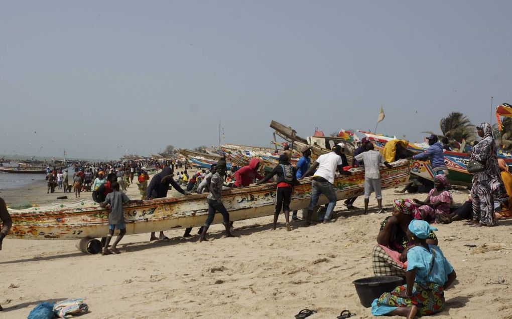 Het strand en de vissershaven van Tanji in Gambia. beeld Lex Rietman