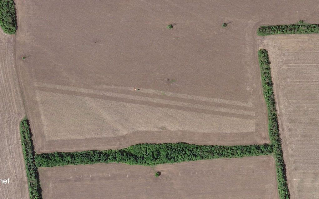 Boeren bewerken koren in de buurt van Sloviansk, Oekraïne. beeld AFP, Planet Labs PBC