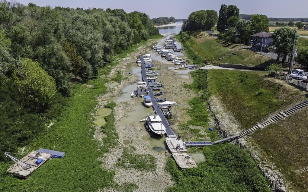 „Ongekende droogte en verzengende hitte geselen de Italiaanse Povlakte – ’s lands belangrijkste voedselschuur.” beeld EPA, Andrea Fasani