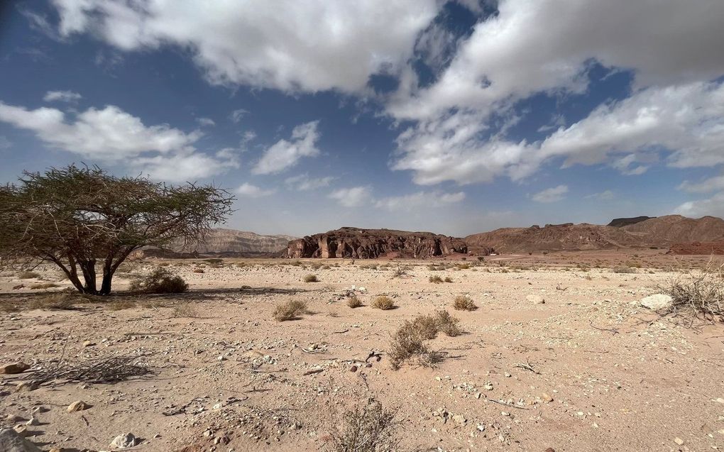 Vlakte in de Negev-woestijn. beeld Albert Groothedde