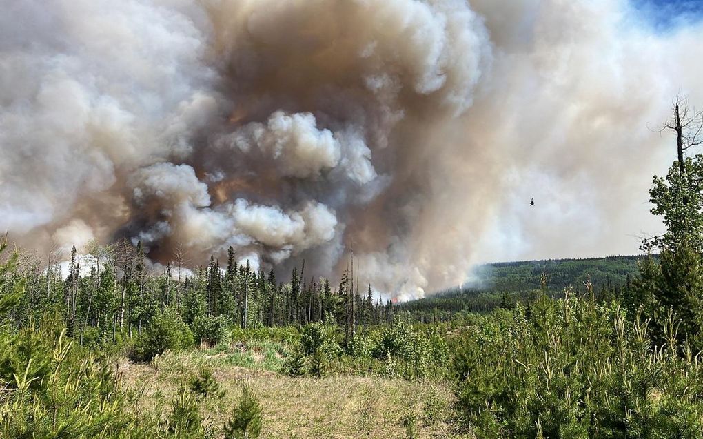 beeld AFP