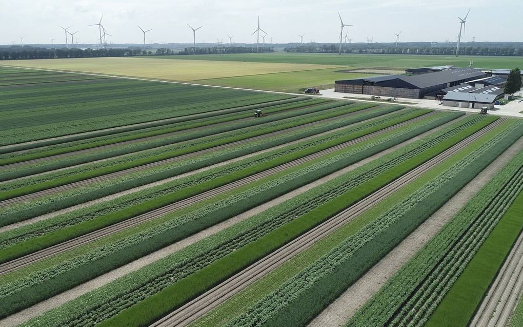 Op de donderdag te openen Boerderij van de Toekomst is vooral goed te zien hoe strokenteelt werkt.  beeld dronewerkers.nl