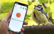 De TjilpOMatic Vogelgezang app herkent vogelgeluiden om je heen en helpt ze te identificeren. beeld RD