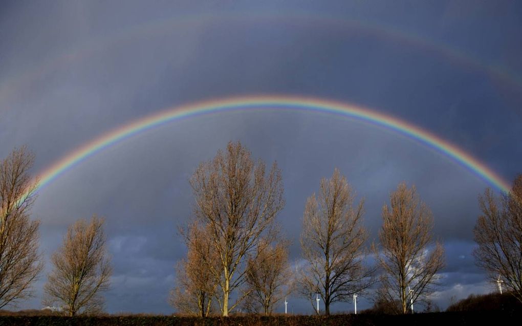 „Onze Bijbel geeft aan dat de regenboog bedoeld is om Gods verbond met Noach te bevestigen.” beeld ANP, Robin Utrecht