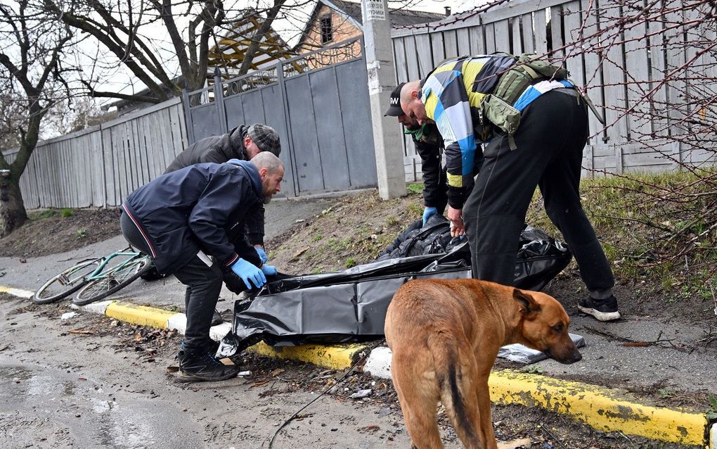 Deze trouwe hond in Boetsja bleef urenlang naast zijn neergeschoten baasje liggen. Ook toen gemeentewerkers het lichaam in een lijkzak afvoerden, bleef de hond in de buurt. beeld AFP, Sergei Supinsky
