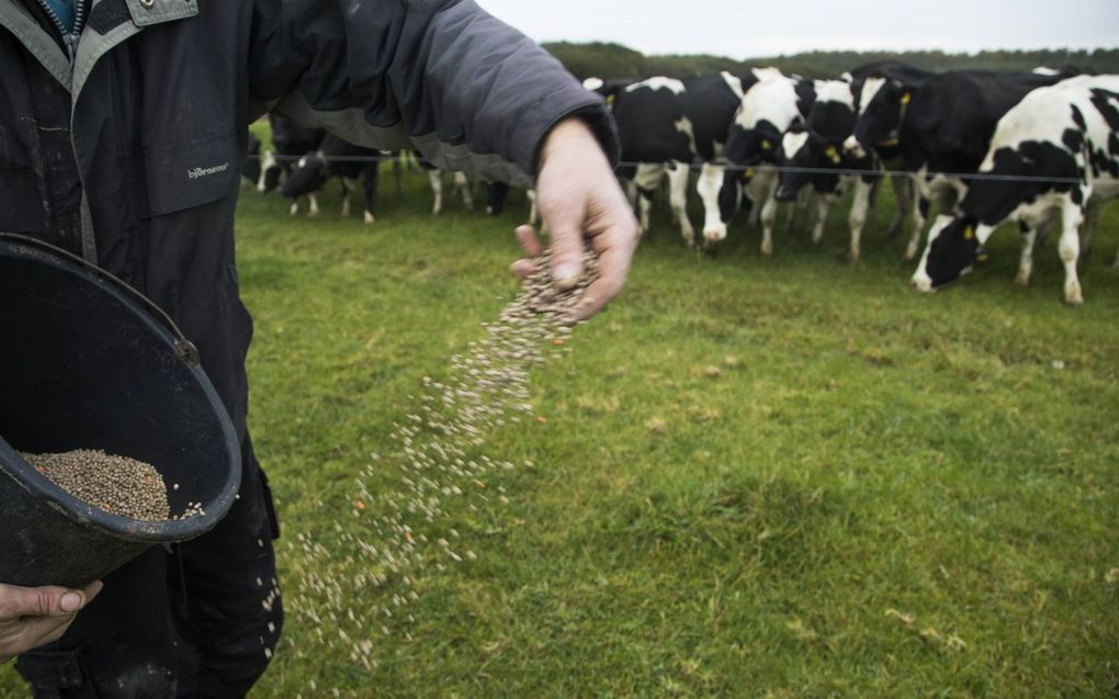 Een boer strooit met kunstmest. beeld ANP KOEN SUYK