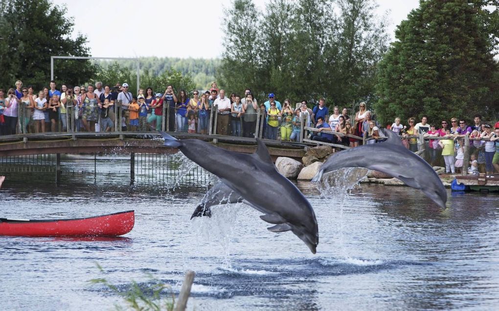 Dolfinarium in Harderwijk. De monitor bezoekersdrukte helpt toeristen drukke plekken te vermijden. beeld Sjaak Verboom