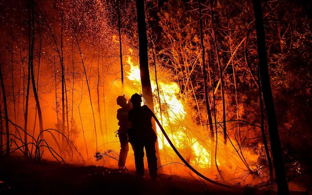 Bosbrand bij Besseges in Zuid-Frankrijk. beeld AFP, Sylvain Thomas