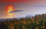 Het Finse nationale park Koli in de herfst. beeld Kees Huisjes