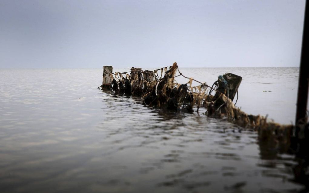 Waddenzee. beeld ANP, Catrinus van der Veen