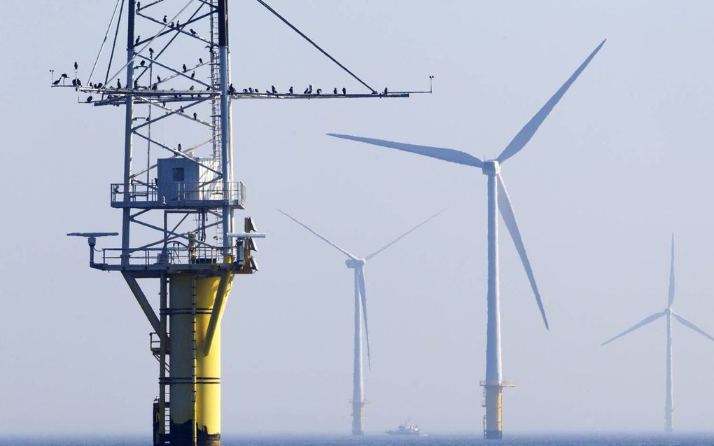 „Scheepvaart, visserij, zandwinning, pijpleidingen, gasplatforms, datakabels, windparken: de natuurlijke rust is reeds lang vergaan op de Noordzee. beeld ANP, Koen Suyk