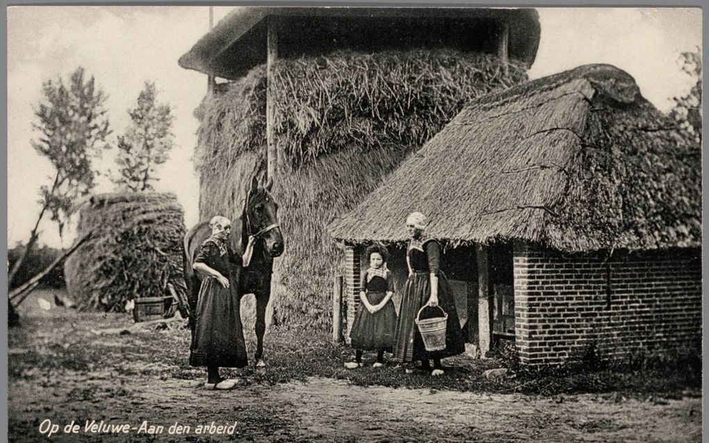 Veluwse klederdracht. beeld Nederlands Openluchtmuseum