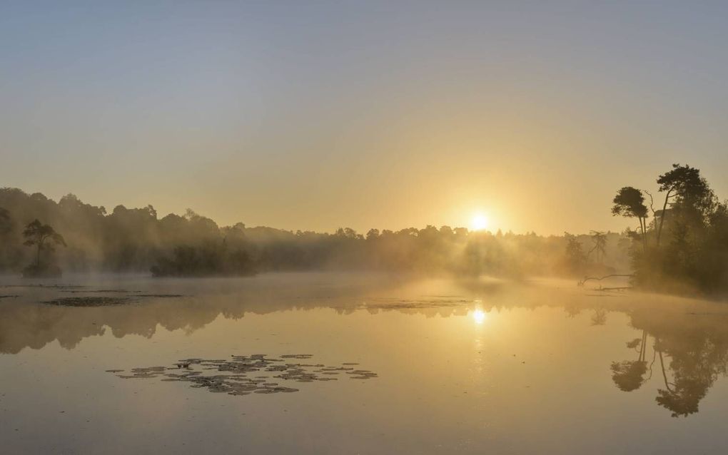 beeld GettyImages