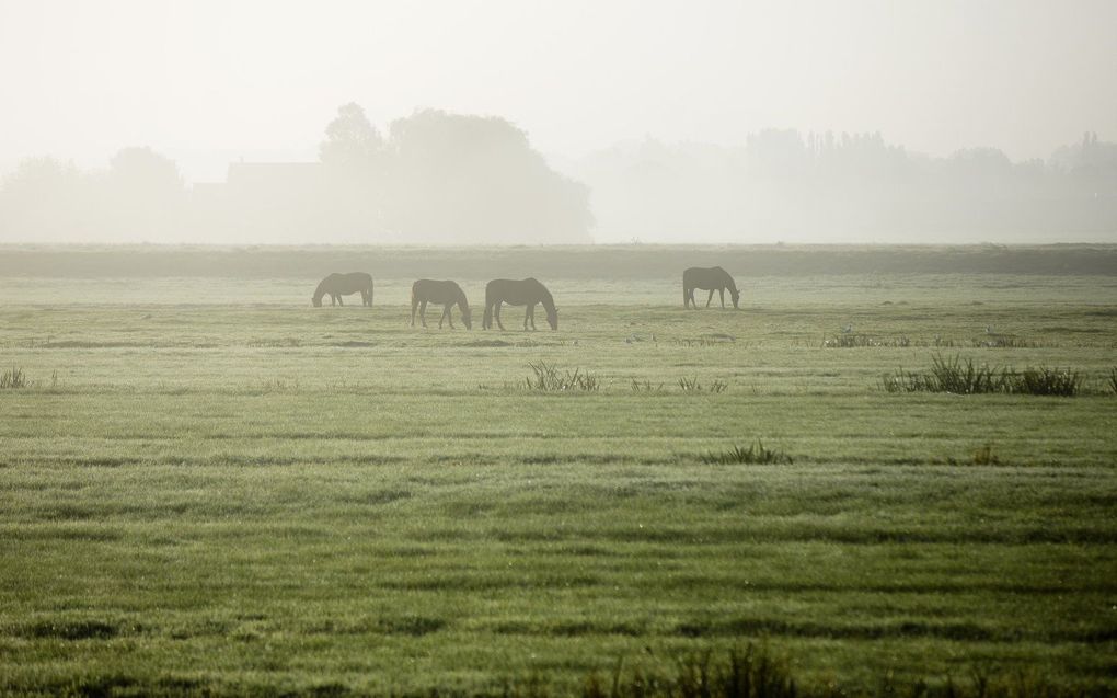 beeld ANP, Bart Maat