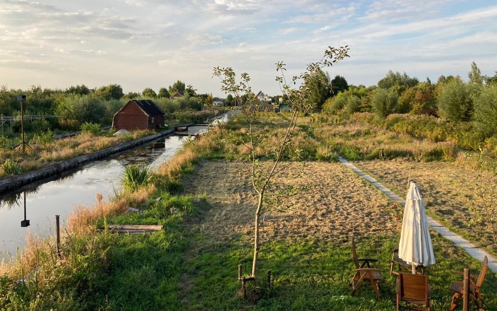 beeld tuinpadrijneveld.nl