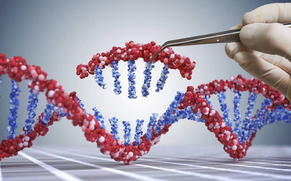 Column: Sleutelen aan DNA bij erfelijke ziekte