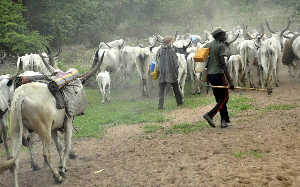 De Fulani, met 35 miljoen het grootste nomadenvolk ter wereld, is een van de moslimvolken waar ”30 Dagen Gebed” aandacht voor vraagt. Fulani worden gezien als het grootste volk in Afrika dat onbereikt is met het Evangelie. beeld Vintage Press