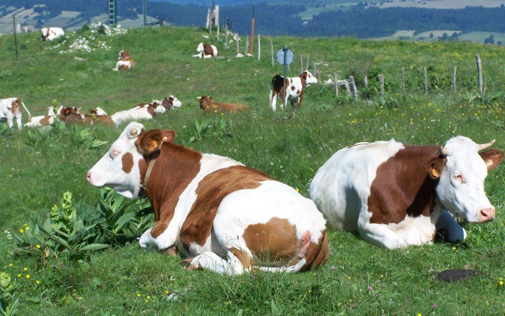 Franche-Comté. Foto's RD