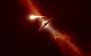 Artist’s impression van het uiteentrekken van een ster door een superzwaar zwart gat (achtergrond). Het zwarte gat verzwelgt vervolgens de slierten materiaal. Astronomen nemen deze gebeurtenis waar als een krachtige lichtflits.  beeld ESO, M. Kornmesser