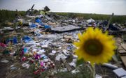 Brokstukken van de in 2014 in Oekraïne neergeschoten MH17. beeld ANP, Jerry Lampen