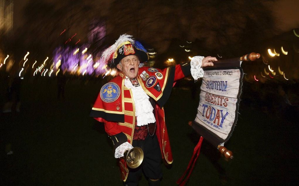 Brexiteers vierden vrijdagavond feest. beeld EPA, Neil Hall