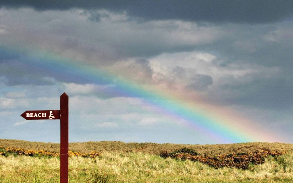 Strand van Aberdeen. beeld AFP, Ed Jones