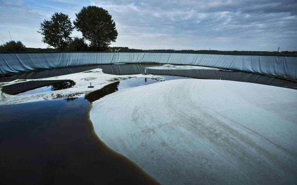 Mestopslag. Volgens het OM vervoerde het bedrijf omgekatte mest.  beeld ANP, Koen Suyk