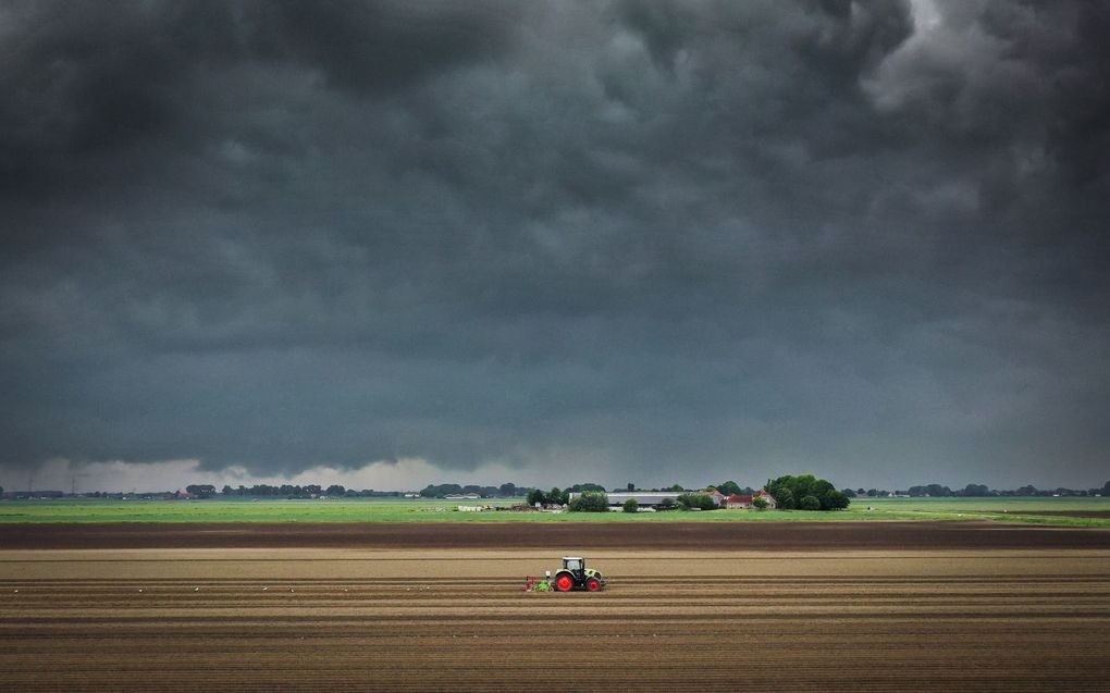 „De Haagse plannen om de stikstofuitstoot van veehouderijen te verlagen, dreigt het einde te betekenen van bedrijven die soms al eeuwenlang op hun gronden voor voedsel zorgen.” beeld ANP, Jeffrey Groeneweg