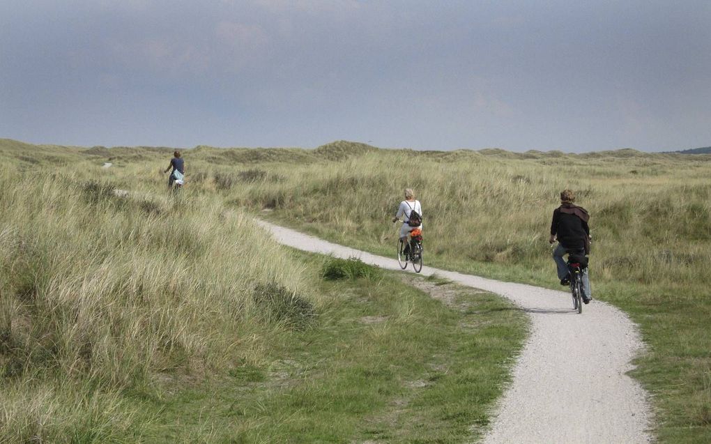 Schelpenpad op Vlieland. beeld ANP, Koen Suyk