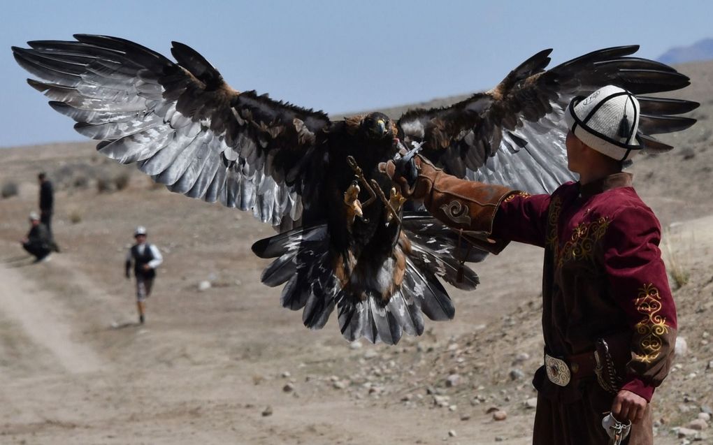 beeld AFP, Vjacheslav Oseledko