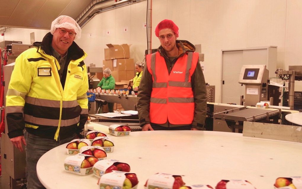 Directeur Kees Vogelaar (links) en teler Johnny Rietveld op de afdeling waar de appels worden verpakt bij fruitbedrijf Vogelaar Vredehof in Krabbendijke. beeld Van Scheyen Fotografie