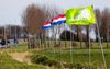 Langs de A58 in Goes zijn Nederlandse vlaggen goed opgehangen na de overwinning van de BoerBurgerBeweging (BBB) tijdens de Provinciale Statenverkiezingen. beeld ANP, JEFFREY GROENEWEG