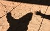 „Het is letterlijk tenhemelschreiend hoe in de kerk en de familie vaak wordt omgegaan met misbruik, doorgaans ten gunste van de dader en ten koste van het slachtoffer.” beeld iStock