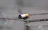 Een op de vijf Nederlanders rookt. Als iedereen daarmee stopt, kan dat duizenden gevallen van kanker per jaar voorkomen. beeld ANP, Eva Plevier