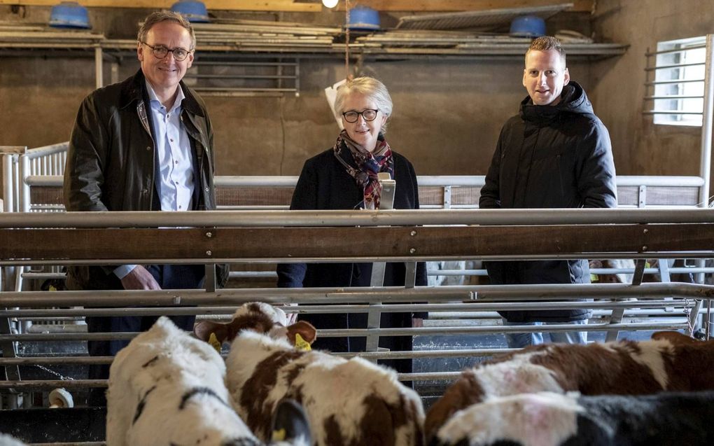 Kalverhoudster Dittie Mulder (m.) heeft zich aangemeld voor de Gelderse uitkoopregeling. Links adviseur Steven van Westreenen, rechts zoon Richard Bikker. beeld André Dorst